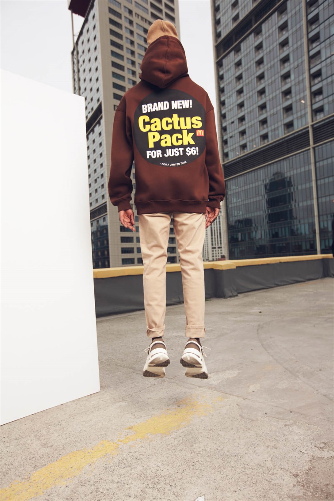 Trendiz Cactüs Pack Kahverengi Unisex Sweatshirt